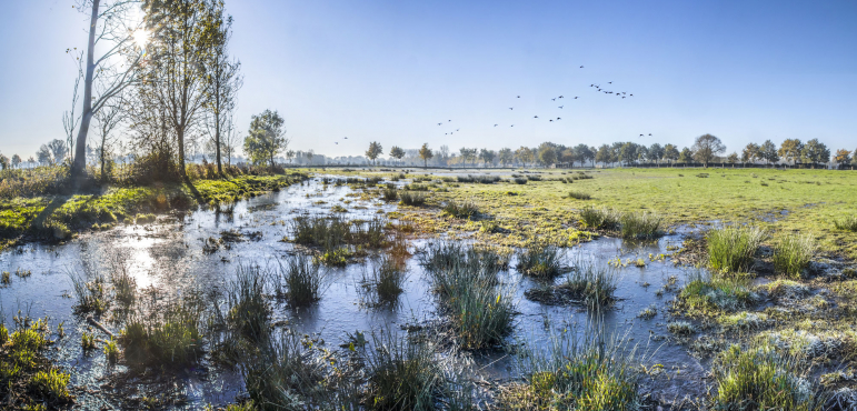 Nice Cycling: Along Fields and Meadows